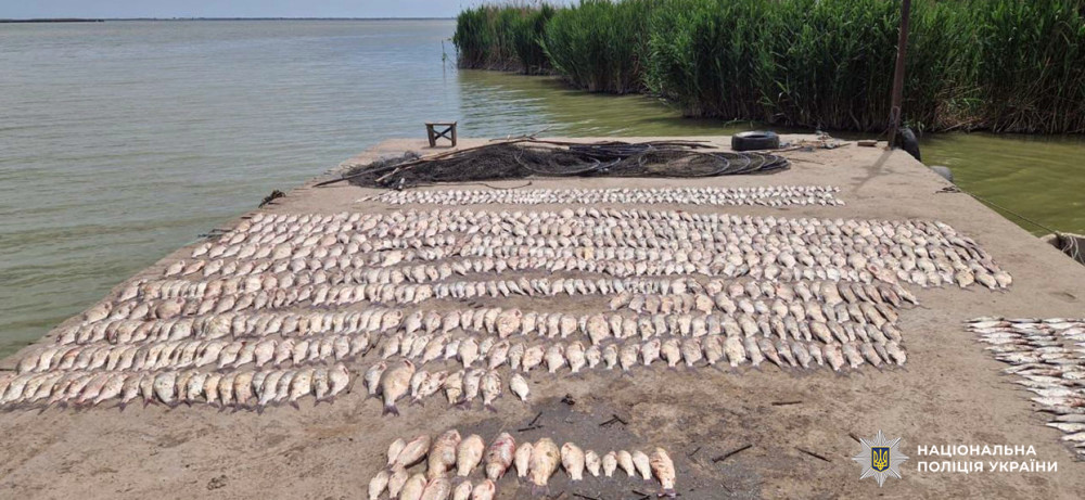 3961 image for slide