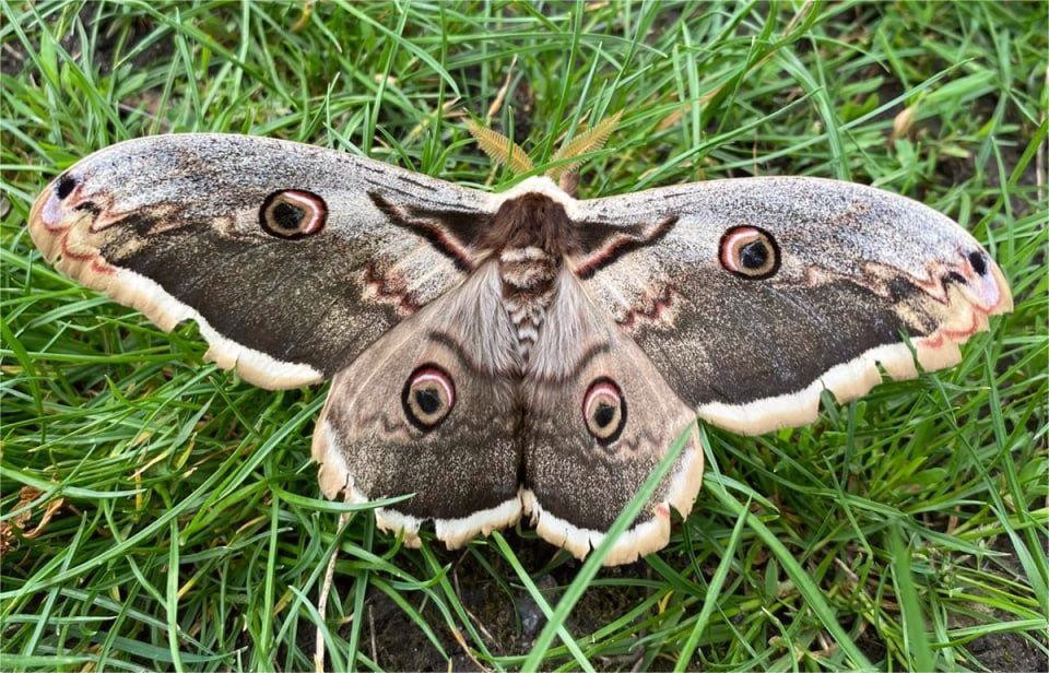 4014 image for slide