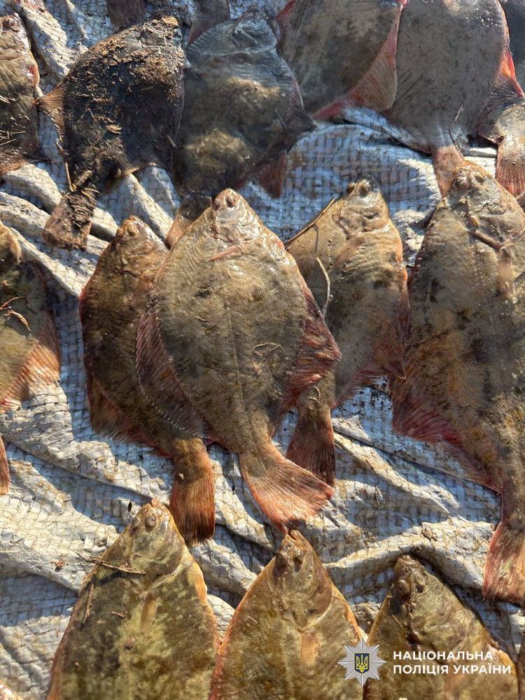 4029 image for slide