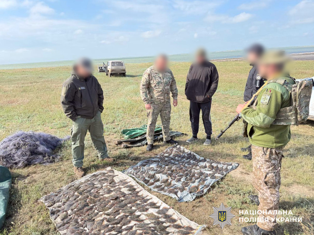 4031 image for slide