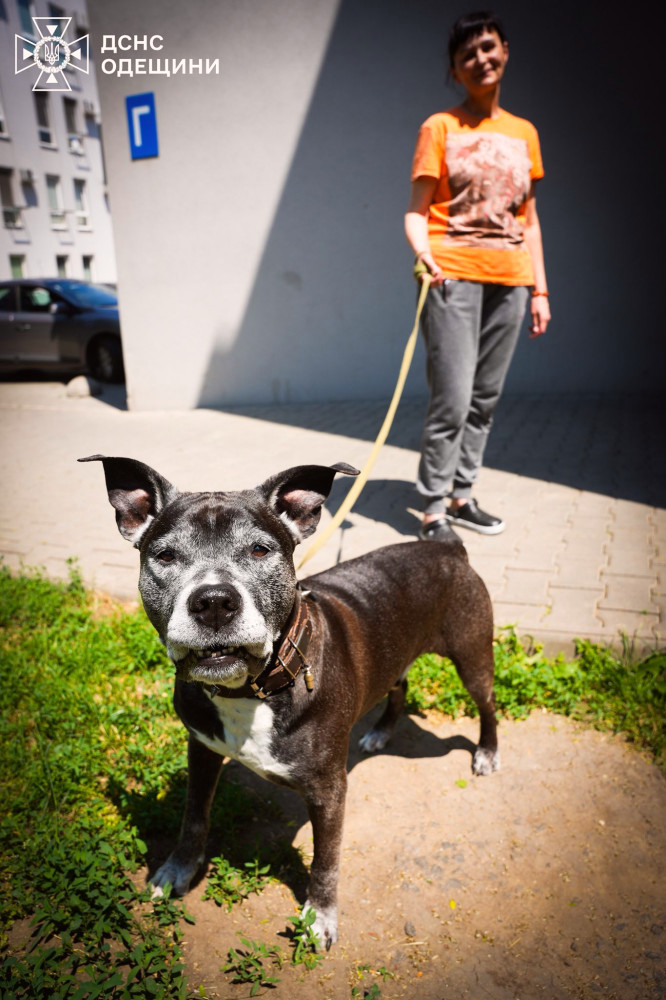 4092 image for slide