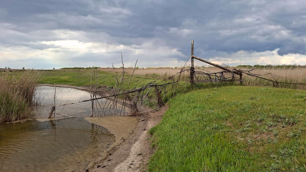 4145 image for slide