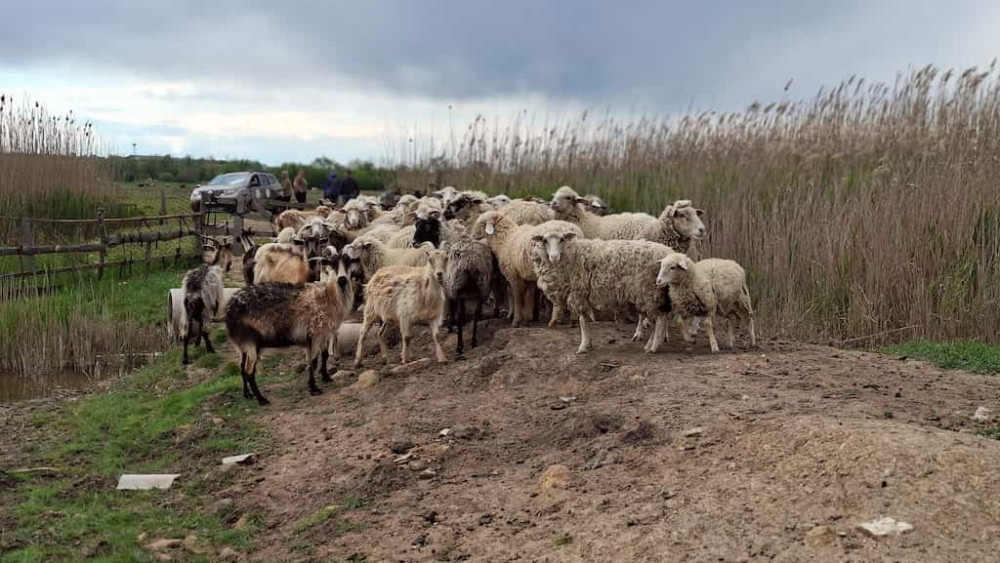 4146 image for slide