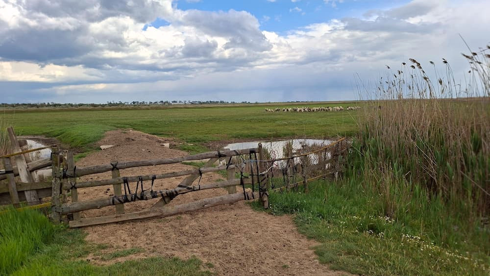 4147 image for slide