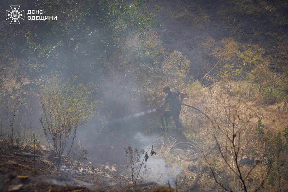 4233 image for slide