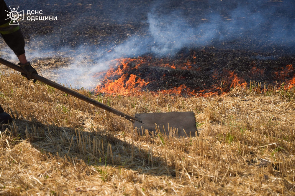 4235 image for slide