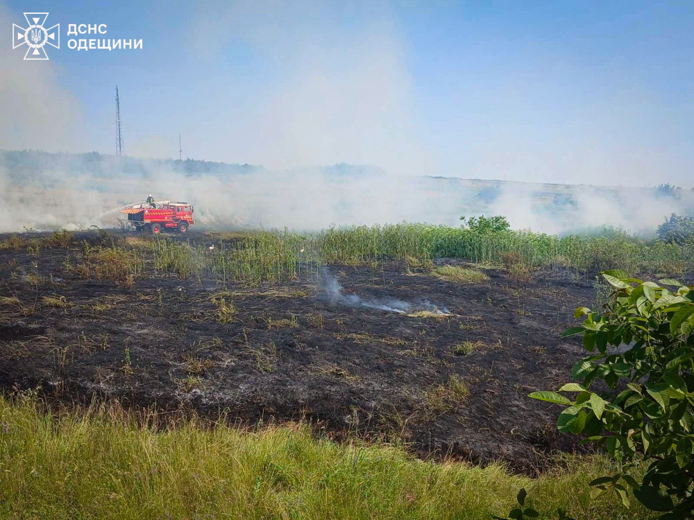 4236 image for slide