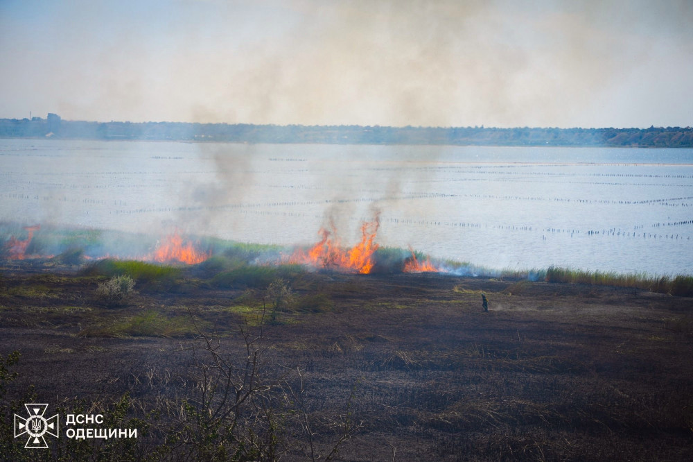 4237 image for slide