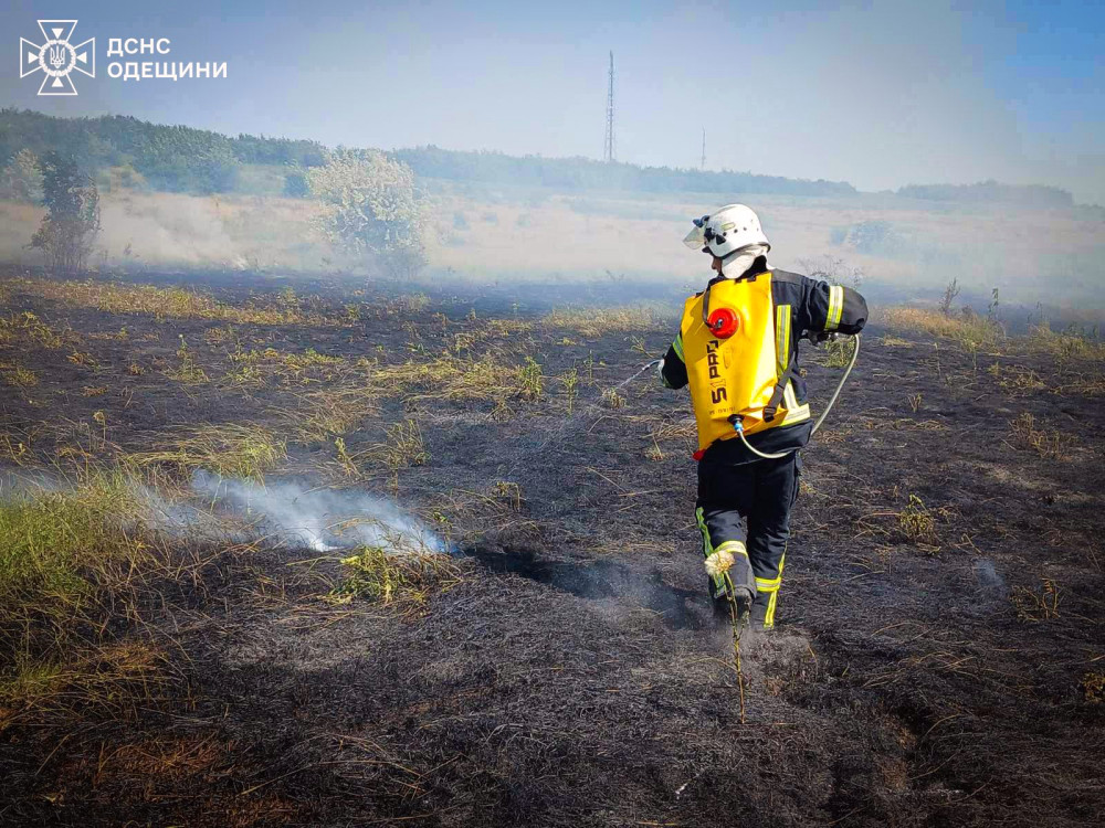 4238 image for slide