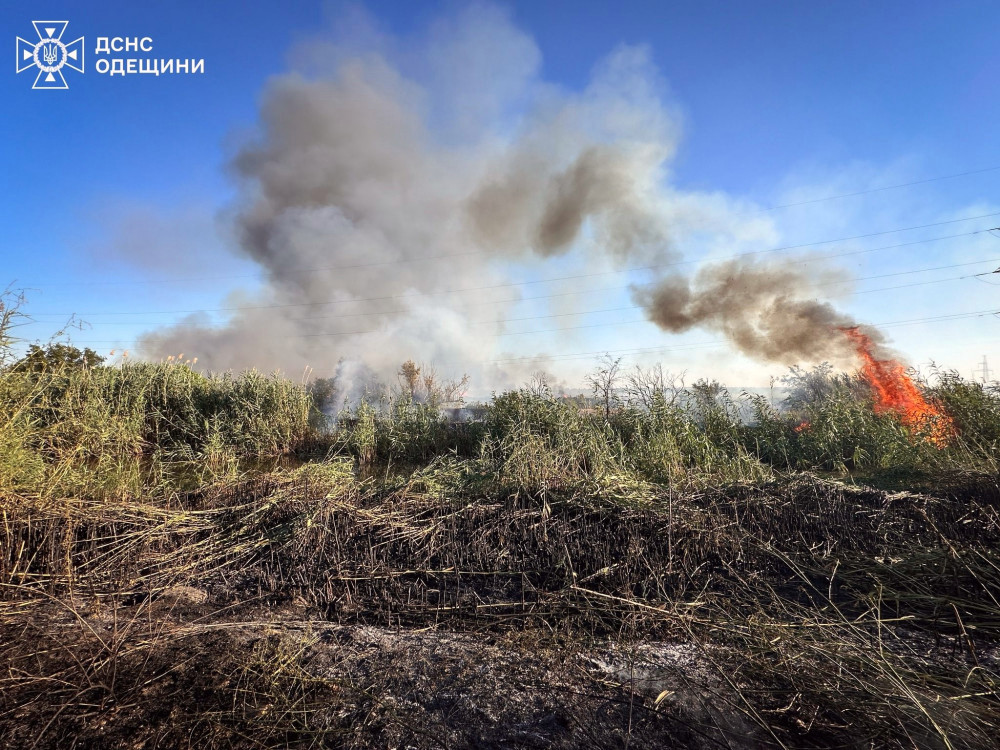 4240 image for slide