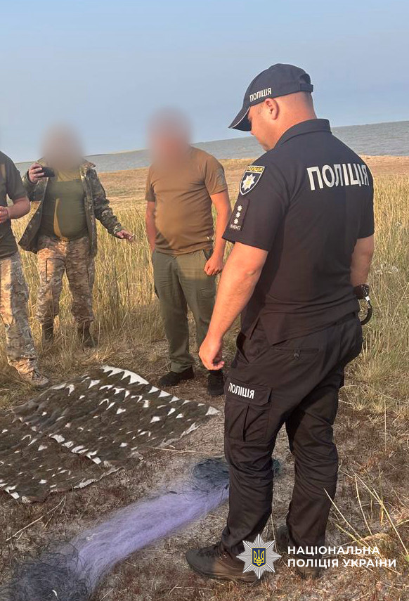 4279 image for slide