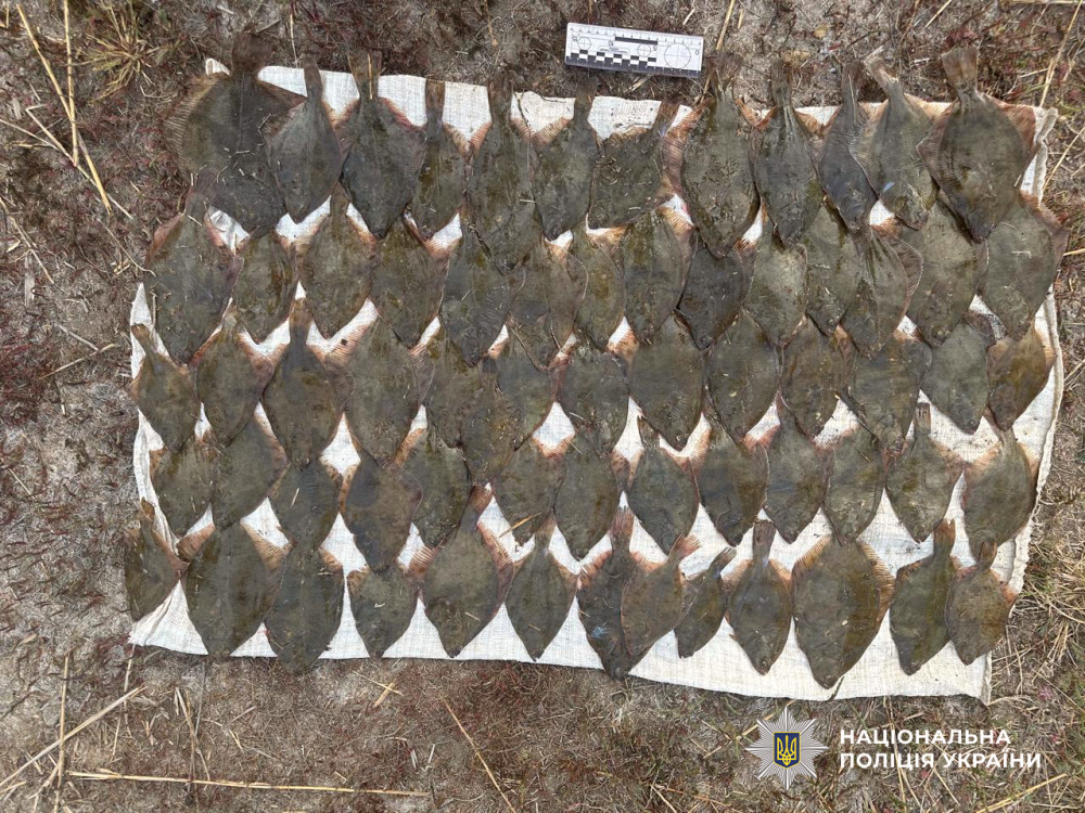 4280 image for slide