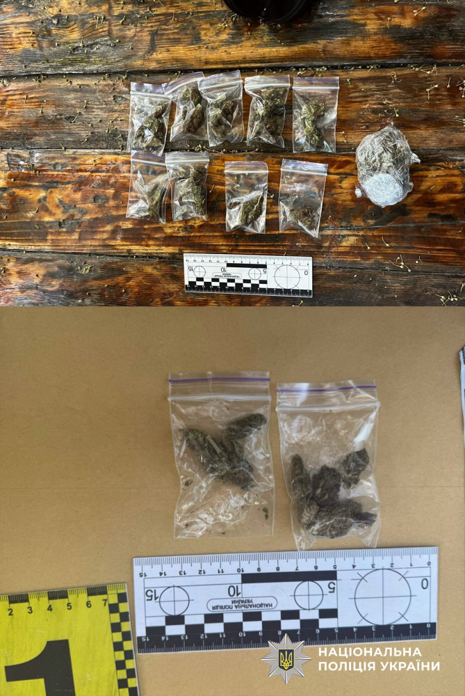 4318 image for slide