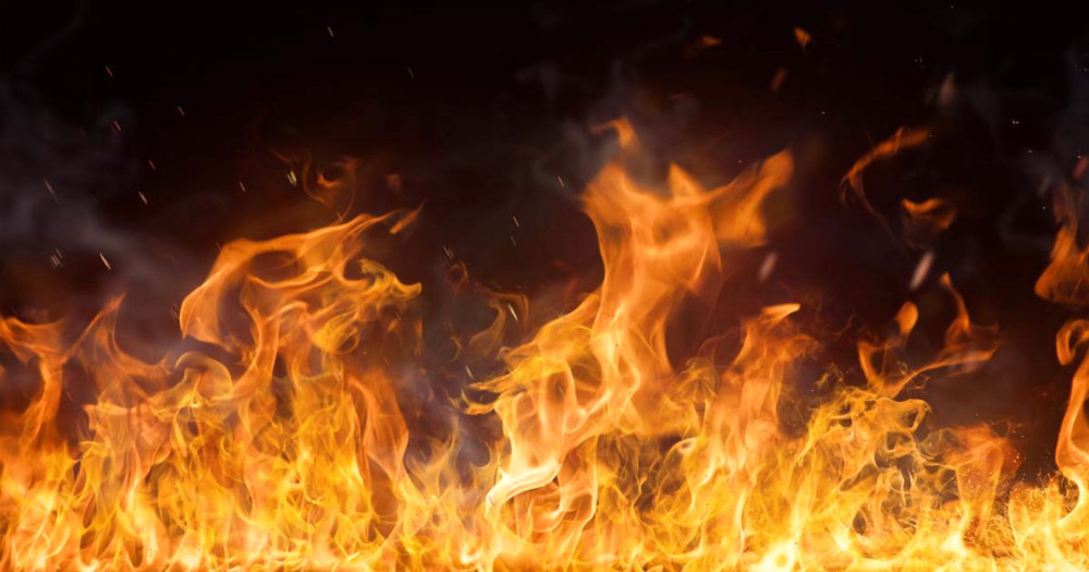 4442 image for slide