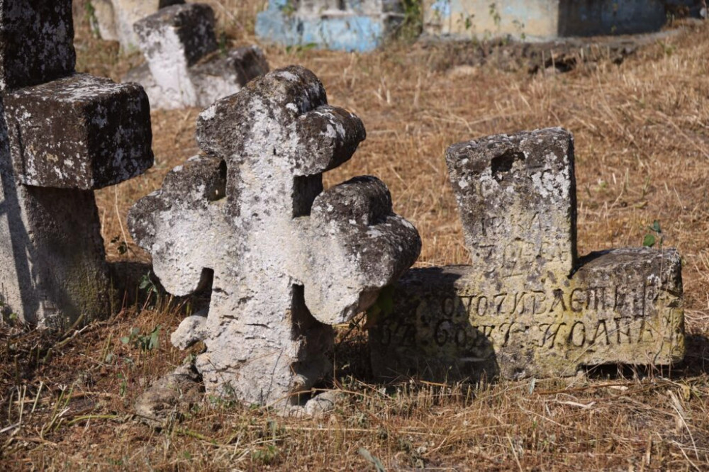 4491 image for slide