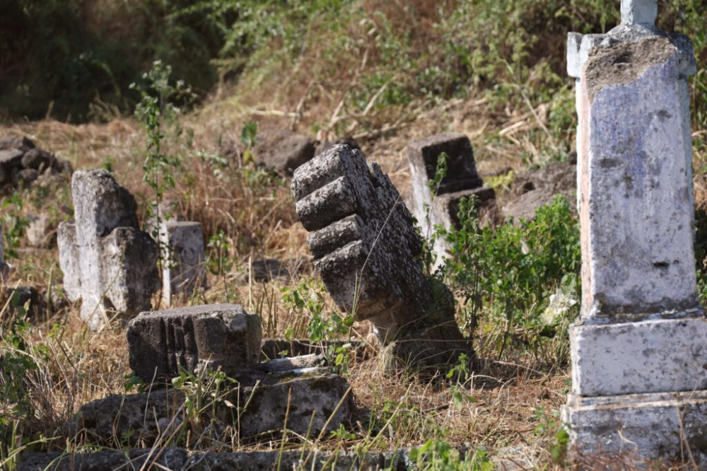 4493 image for slide