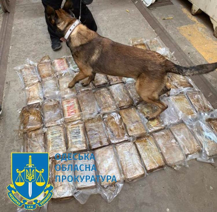 4513 image for slide