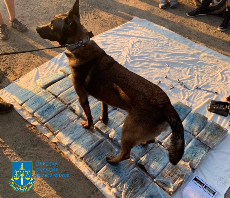 4514 image for slide