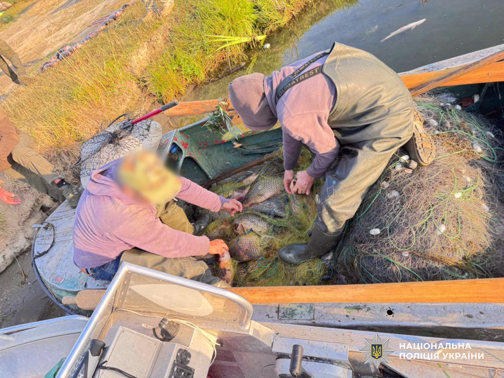 4560 image for slide