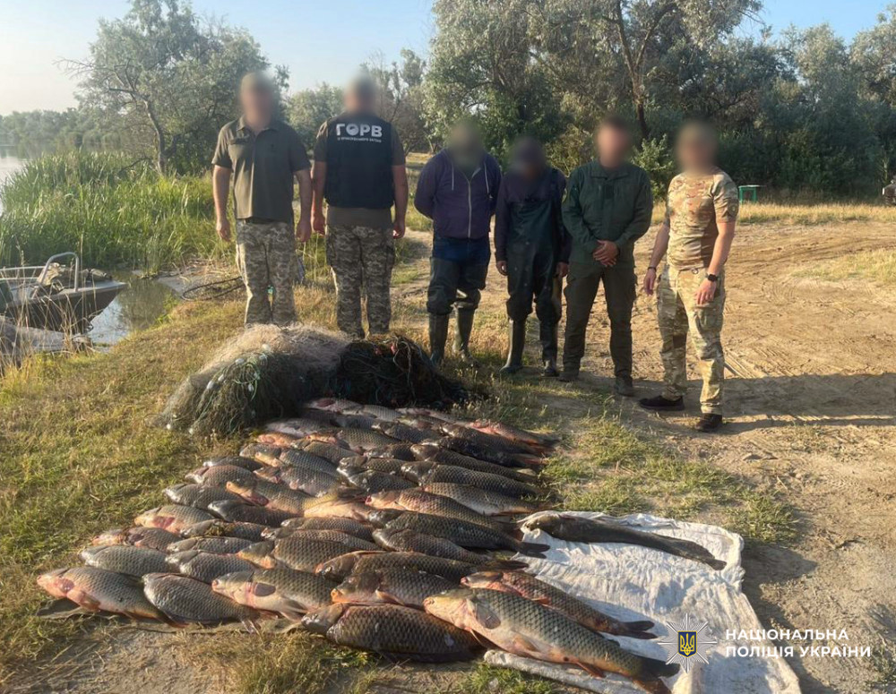 4561 image for slide