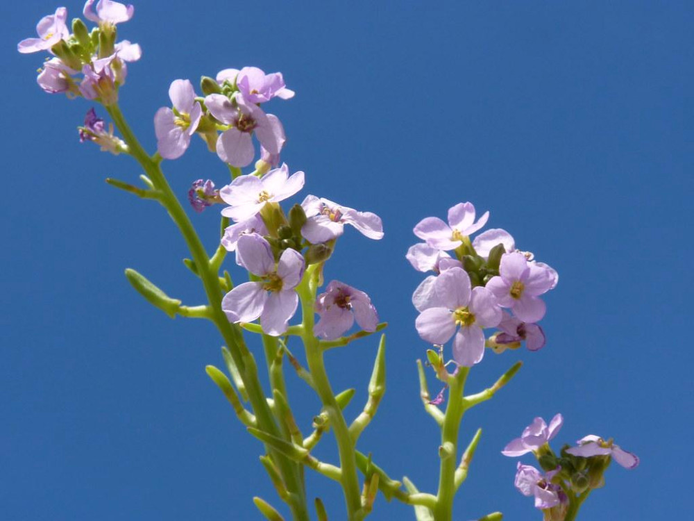 4567 image for slide