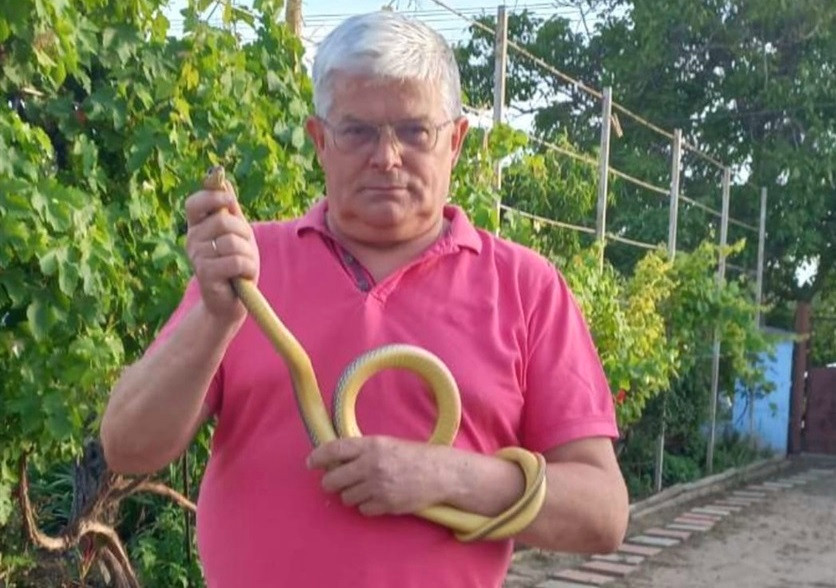 4592 image for slide