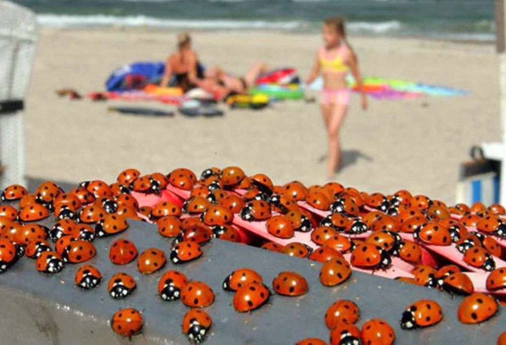 4690 image for slide