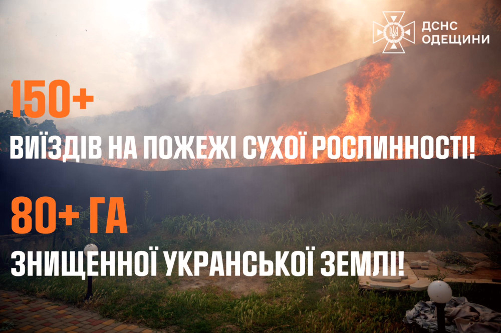 4692 image for slide