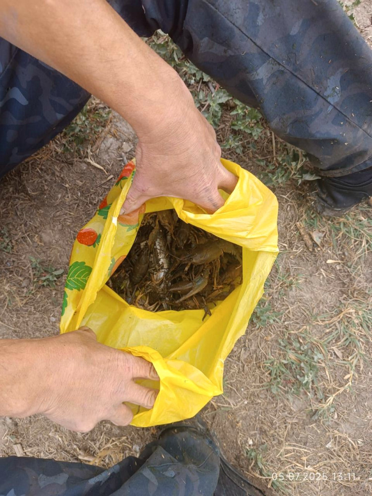 4839 image for slide