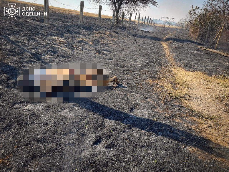 4912 image for slide