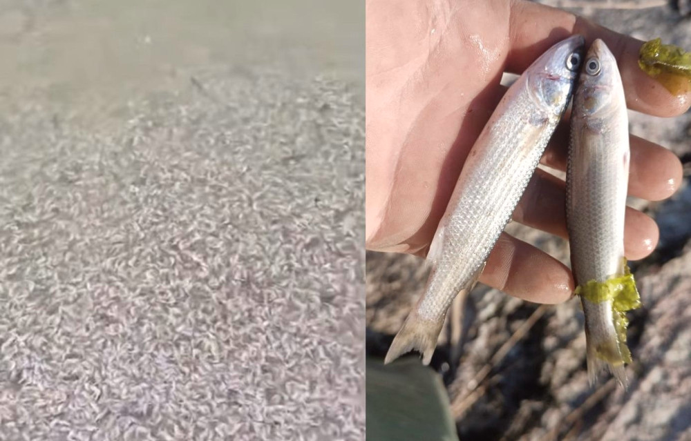 5112 image for slide