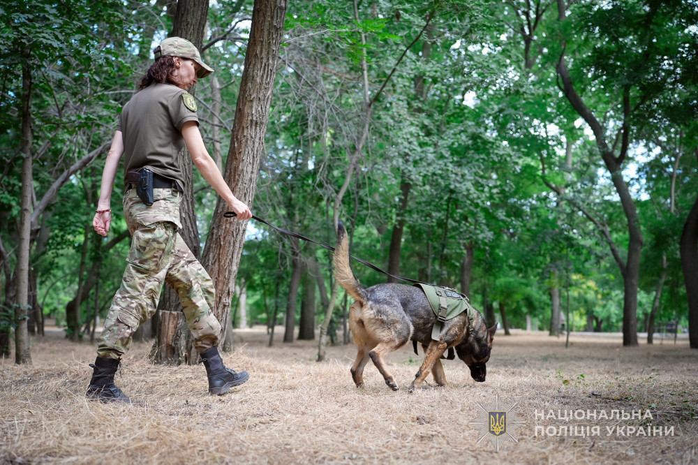 5132 image for slide