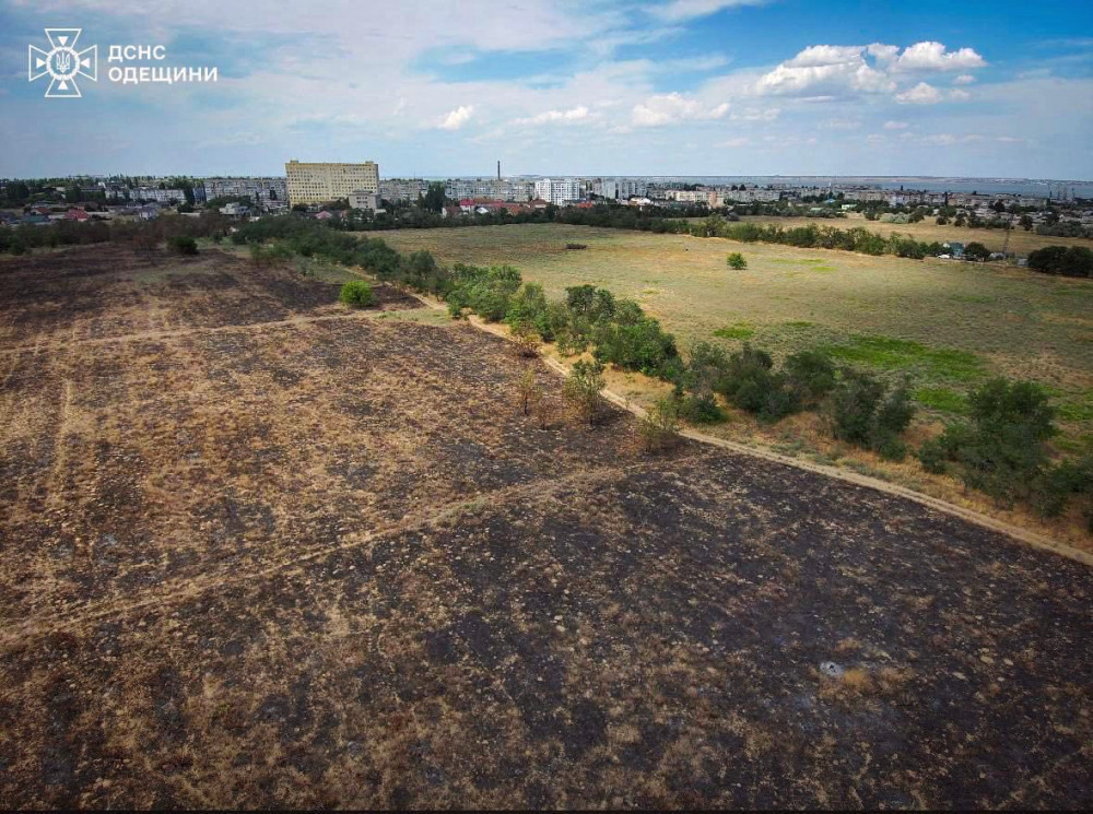 5190 image for slide