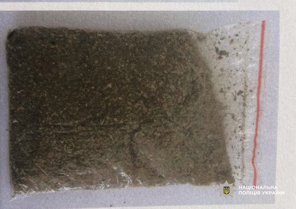 5313 image for slide