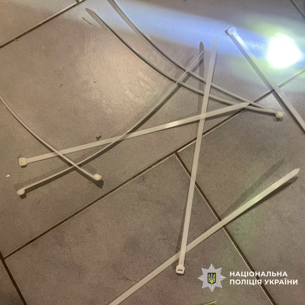 5391 image for slide