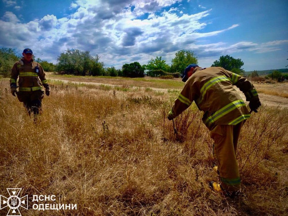 5397 image for slide