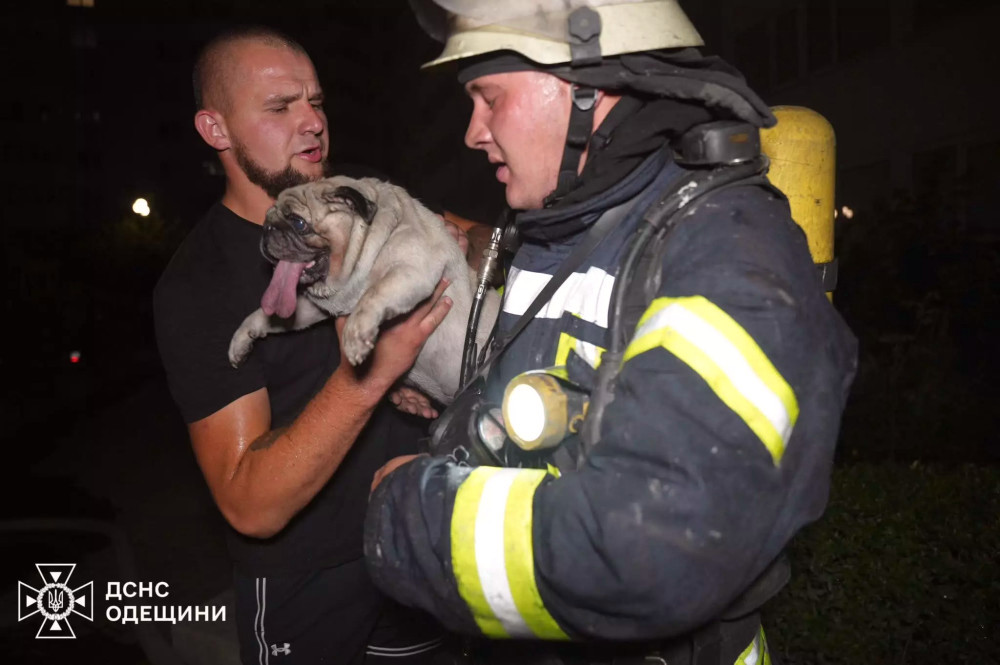 5438 image for slide