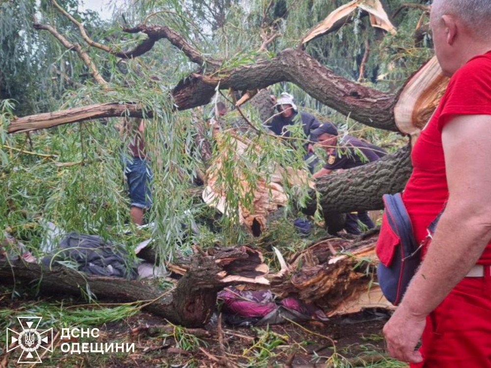 5457 image for slide