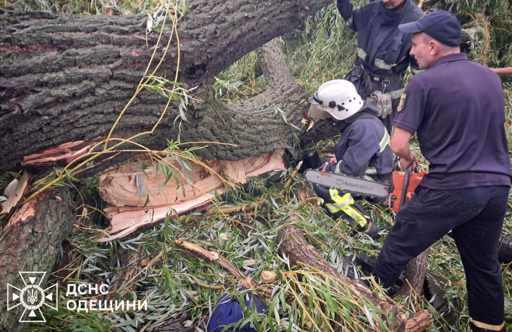 5460 image for slide