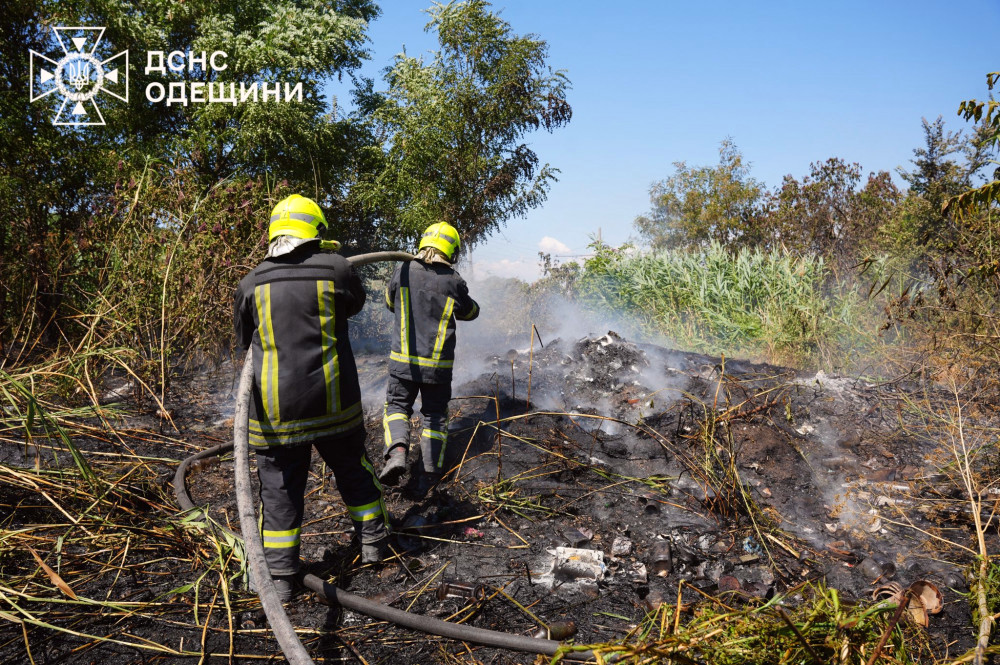 5569 image for slide