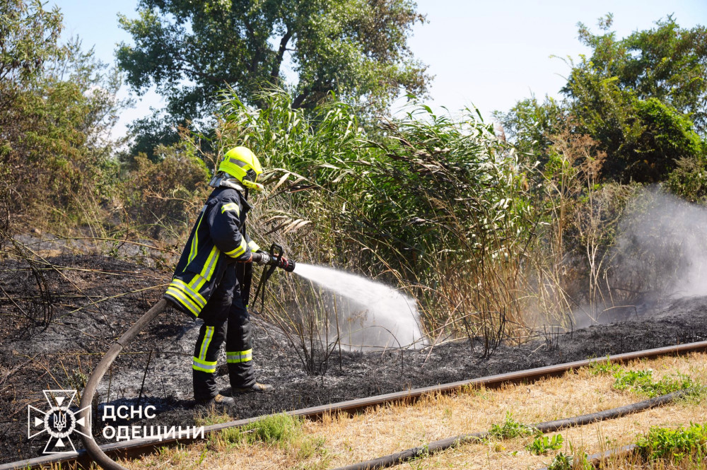 5570 image for slide