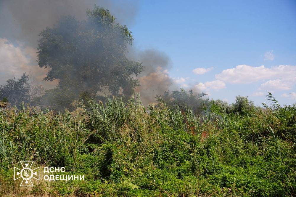 5572 image for slide