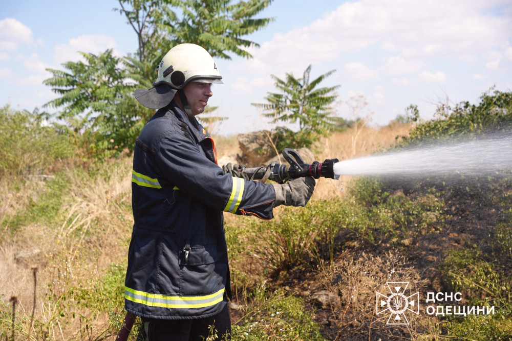 5573 image for slide