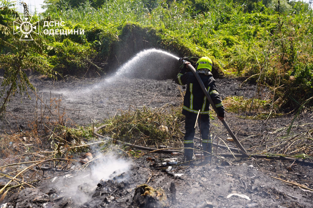 5574 image for slide