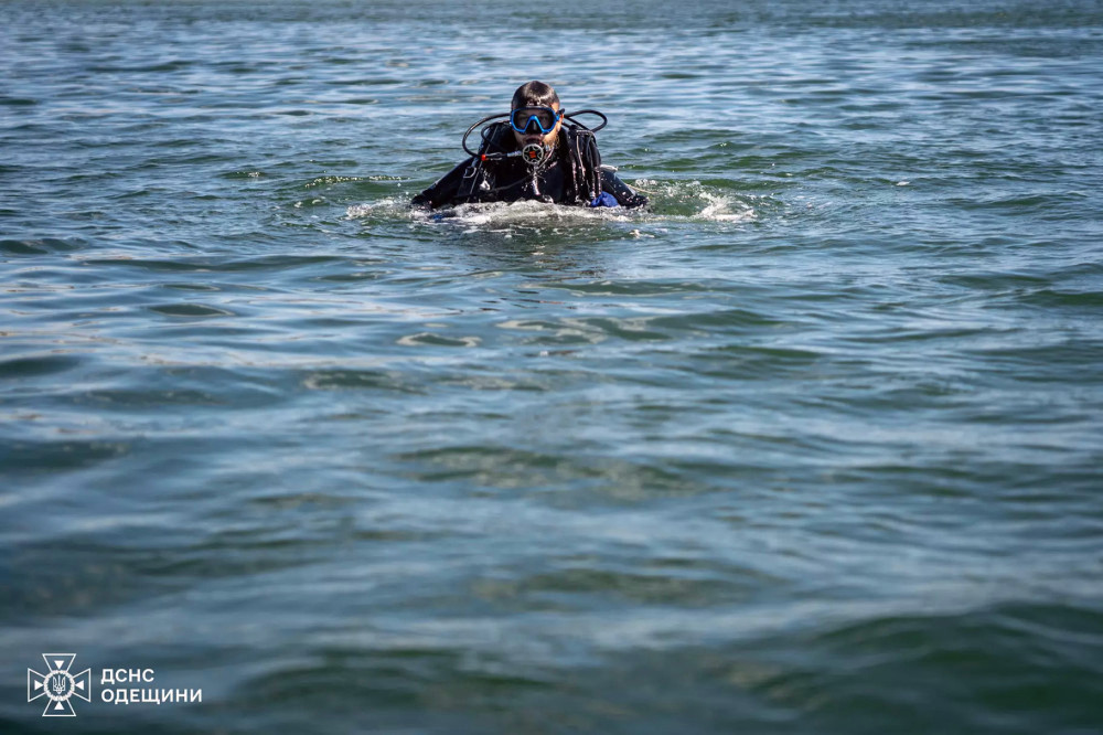 5580 image for slide