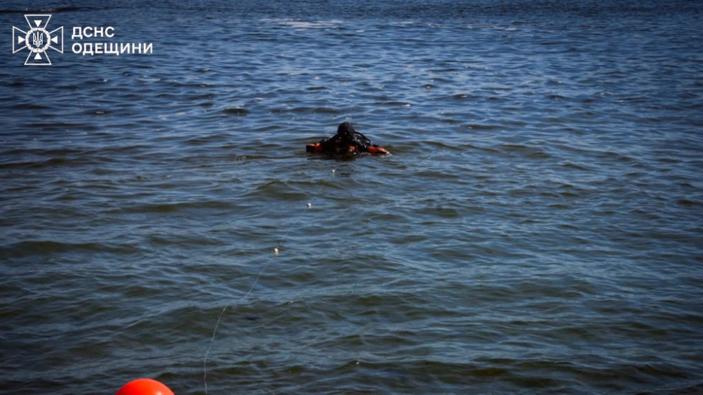 5582 image for slide