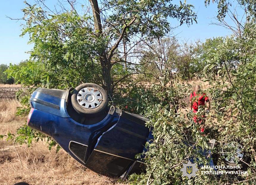 5633 image for slide