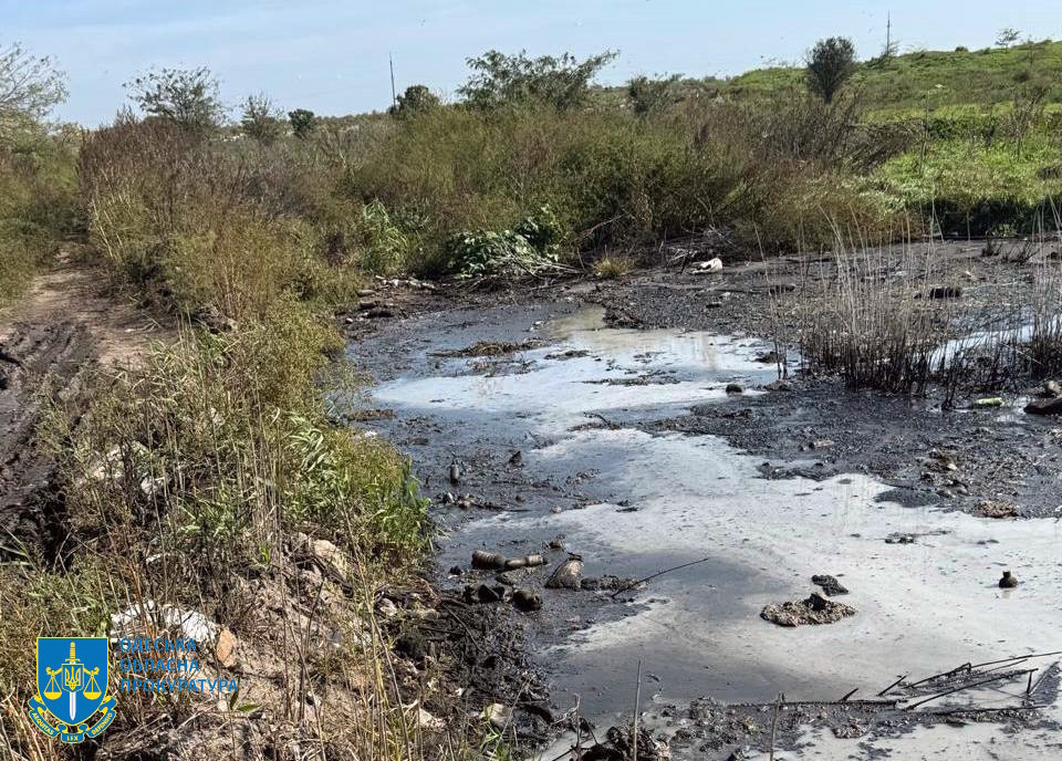 5644 image for slide