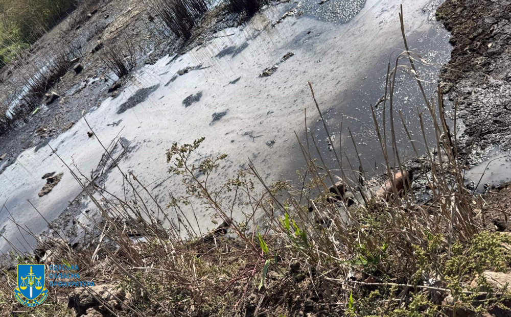 5645 image for slide