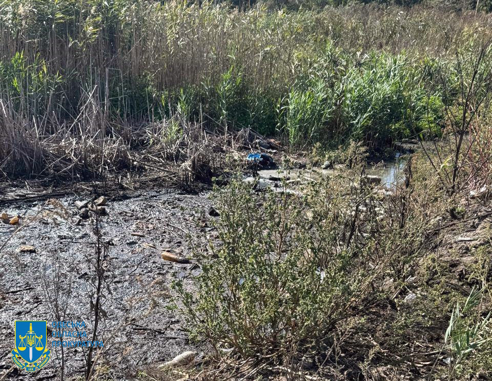 5646 image for slide